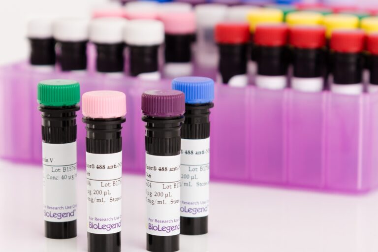 Alexis Harrington Photography