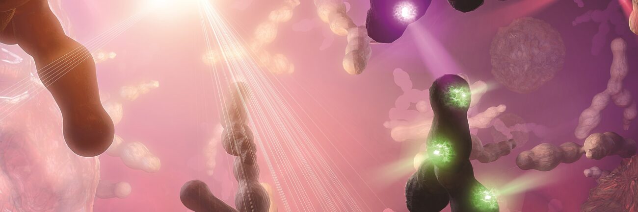 BioLegend Cell Biology