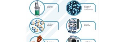 custom-ozel-antikor-gelistirme-451596e61429c64a