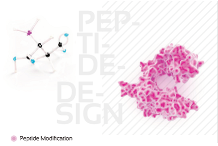 custom-peptid-sentezi-440596e431aedf1d