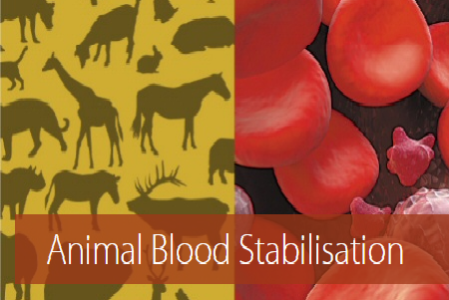 transfix-animal-blood-stabilisation-4725972614757ec2