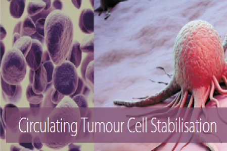 transfix-circulating-tumour-cell-stabilisation-4715972613bcb986