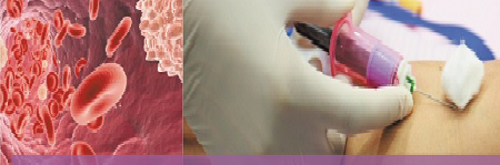 transfix-human-blood-stabilisation-482597262ff40d50