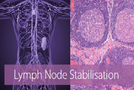 transfix-lymph-node-stabilisation-4705972612dbad53