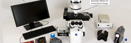 venaflux-platforms-5175975a3bb59310