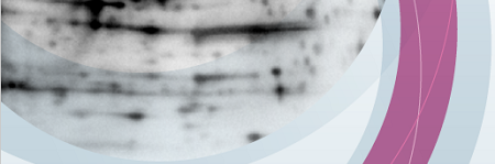 westernblot-antikorlari-428596e3c4ecf3f3