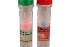fluorescent-streptavidin-conjugates-2915956035c07515