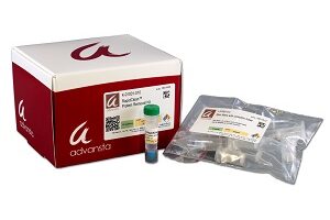 rapidclean-27559554cbb19802